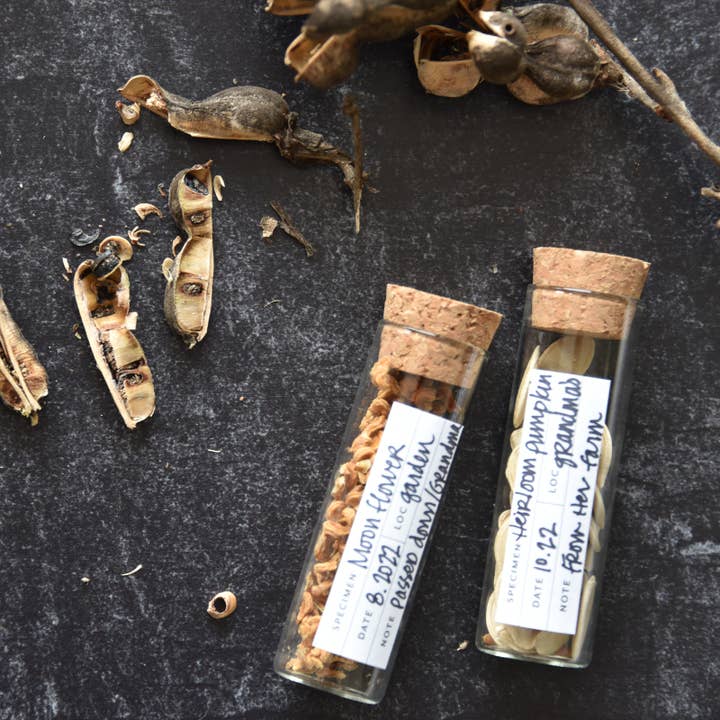 June & December - Venta al por mayor Herramientas de jardín - Etiquetas botánicas para especímenes / 36 etiquetas2