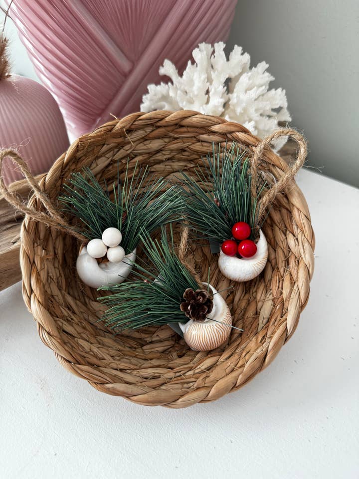 Whale Eye Shell Holiday Ornament - Green Pine Set of 12 for wholesale by Salty Sea Company