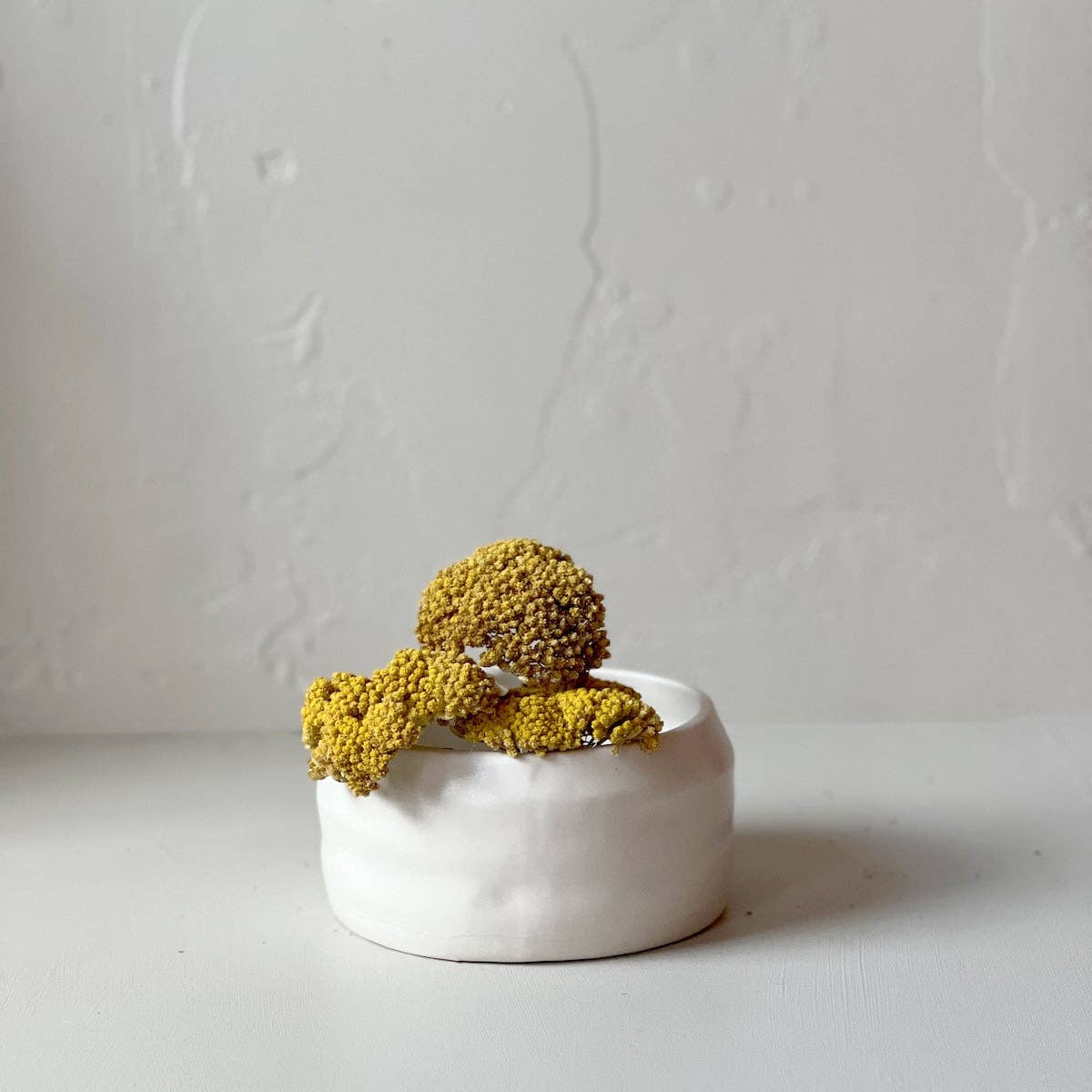 Bloomist - Wholesale Dried/Pressed Flowers - Dried Natural Yarrow7