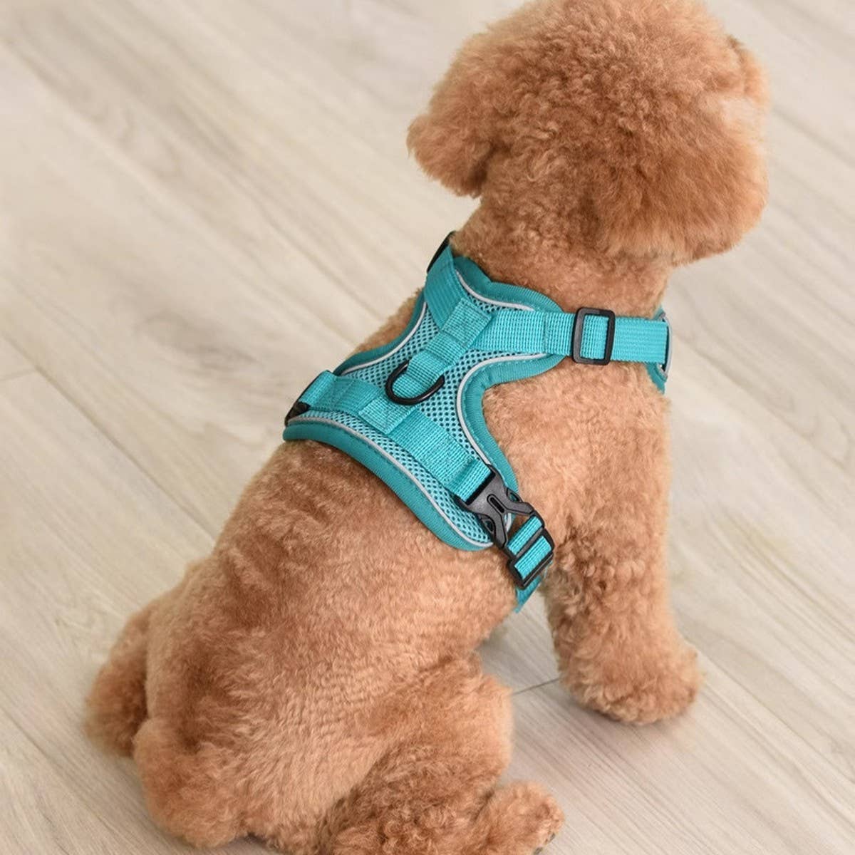 PAWPAWwholesale - Wholesale Pet Harness - Dog - Reflective Dog Harness with Leash – Escape-Proof_CWMM72675