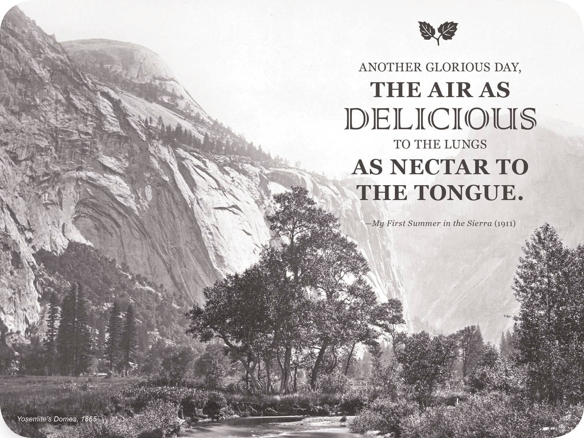 HarperCollins Focus - Wholesale Notebook - John Muir Signature Notebook2