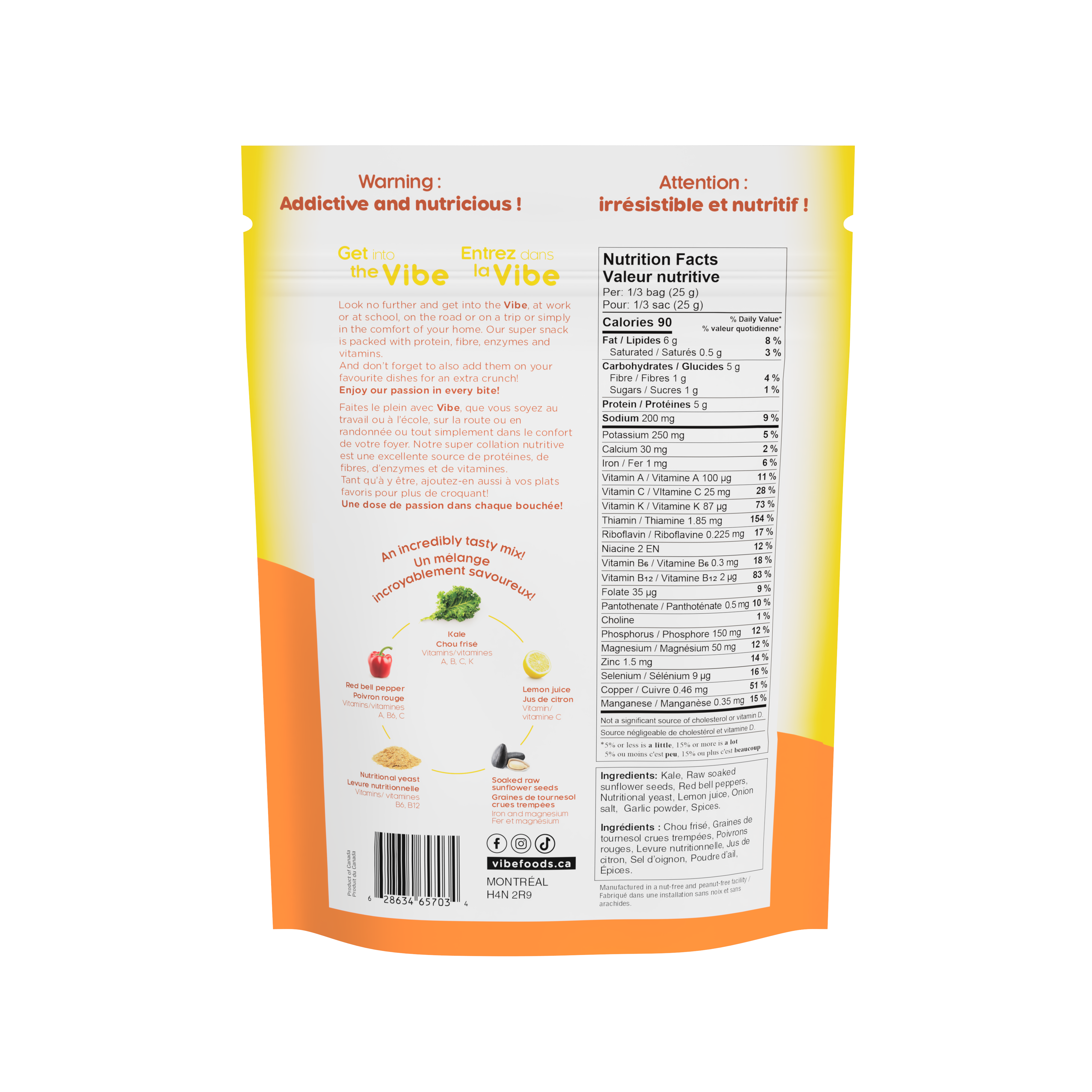 Vibe Foods - Wholesale Chips - Vibe Vegan Cheese Kale Chips1