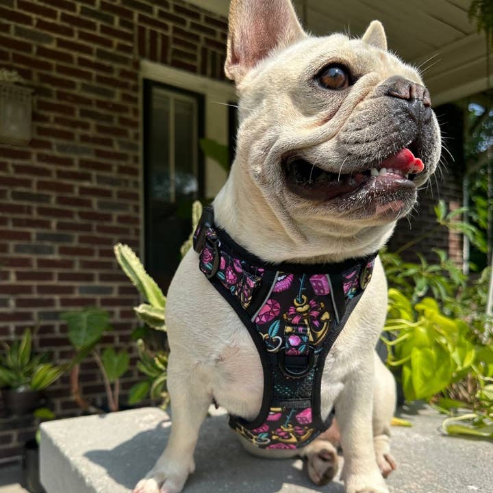 Beast & Buckle - Wholesale Pet Harness - Dog - Girly Tattoo No Pull Dog Harness1