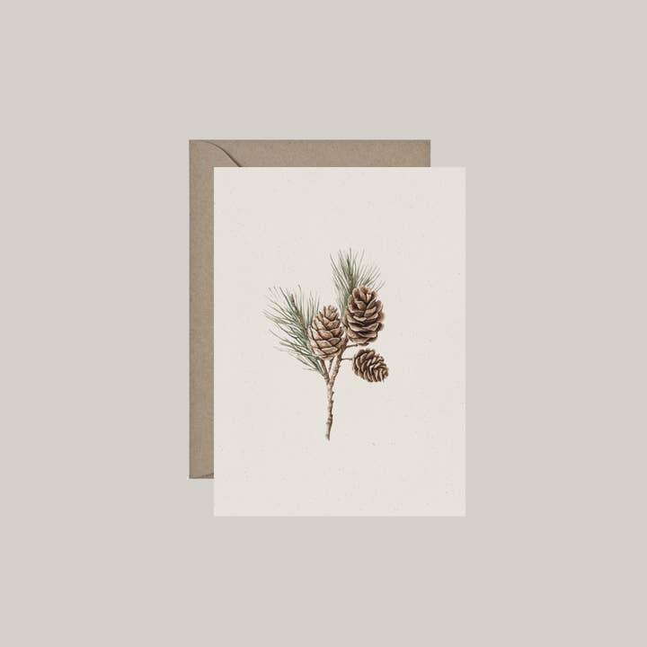 Set of 6 double cards with envelope | pine cones for wholesale by De Papierboetiek