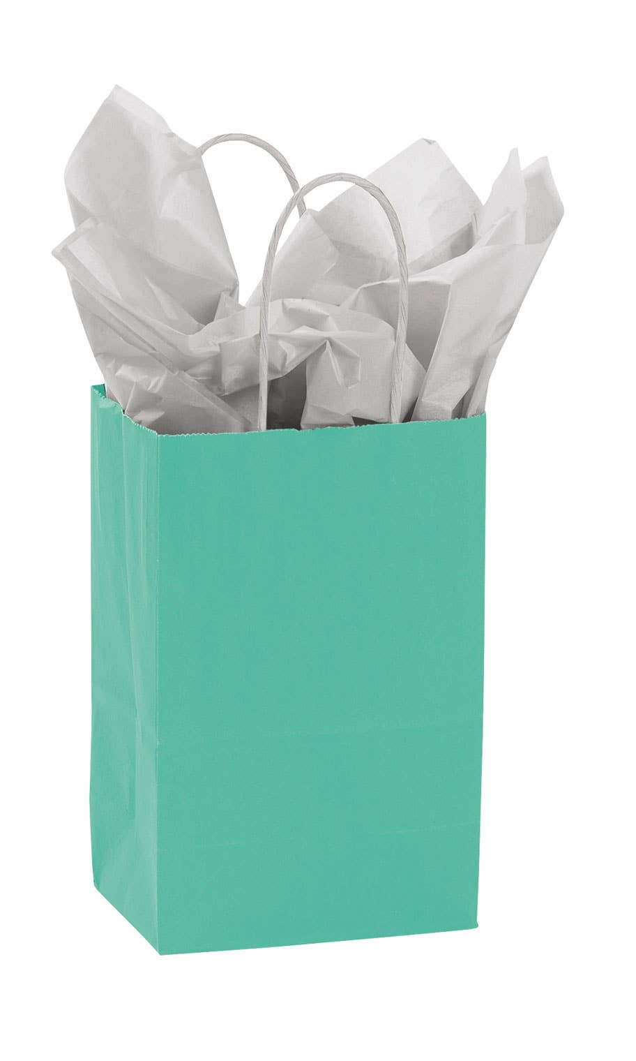 Store Supply Warehouse - Wholesale Gift Bag - Colorful Kraft Paper Shopping Bags9