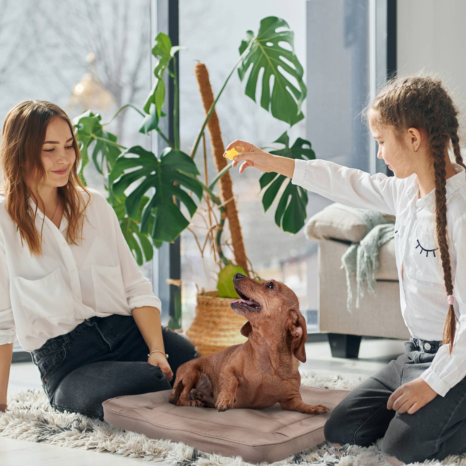 Precious Tails - Wholesale Pet Bed - Cat/Dog - Precious Tails Orthopedic Pet Bed Crate Mat20