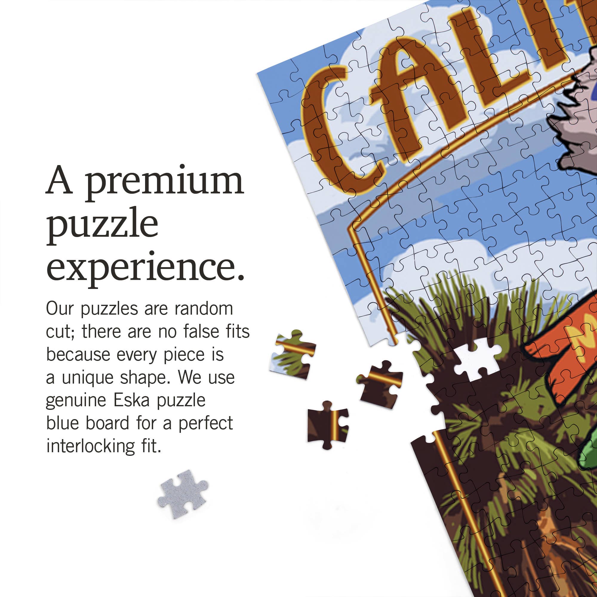 Lantern Press - Venta al por mayor Puzle - Adultos - ROMPECABEZAS DE 1000 PIEZAS Playas y destinos del sur de California3