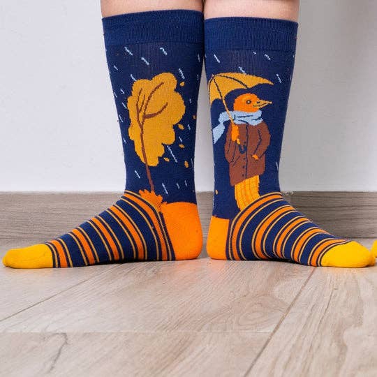 KYLIE CRAZY - Wholesale Socks - Unisex - Rainbird women/men's playful cotton socks2