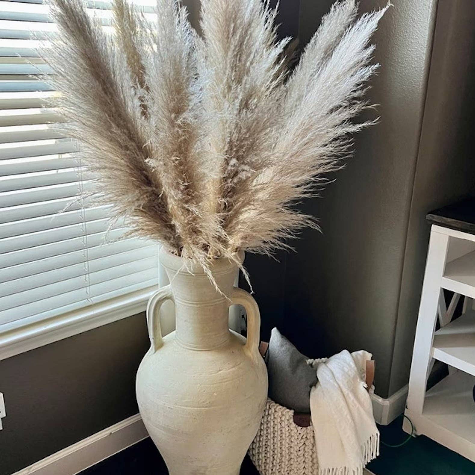 BRECK + FOX - Wholesale Dried/Pressed Flowers - Dried Natural Grass Plumes 10-Piece Set5