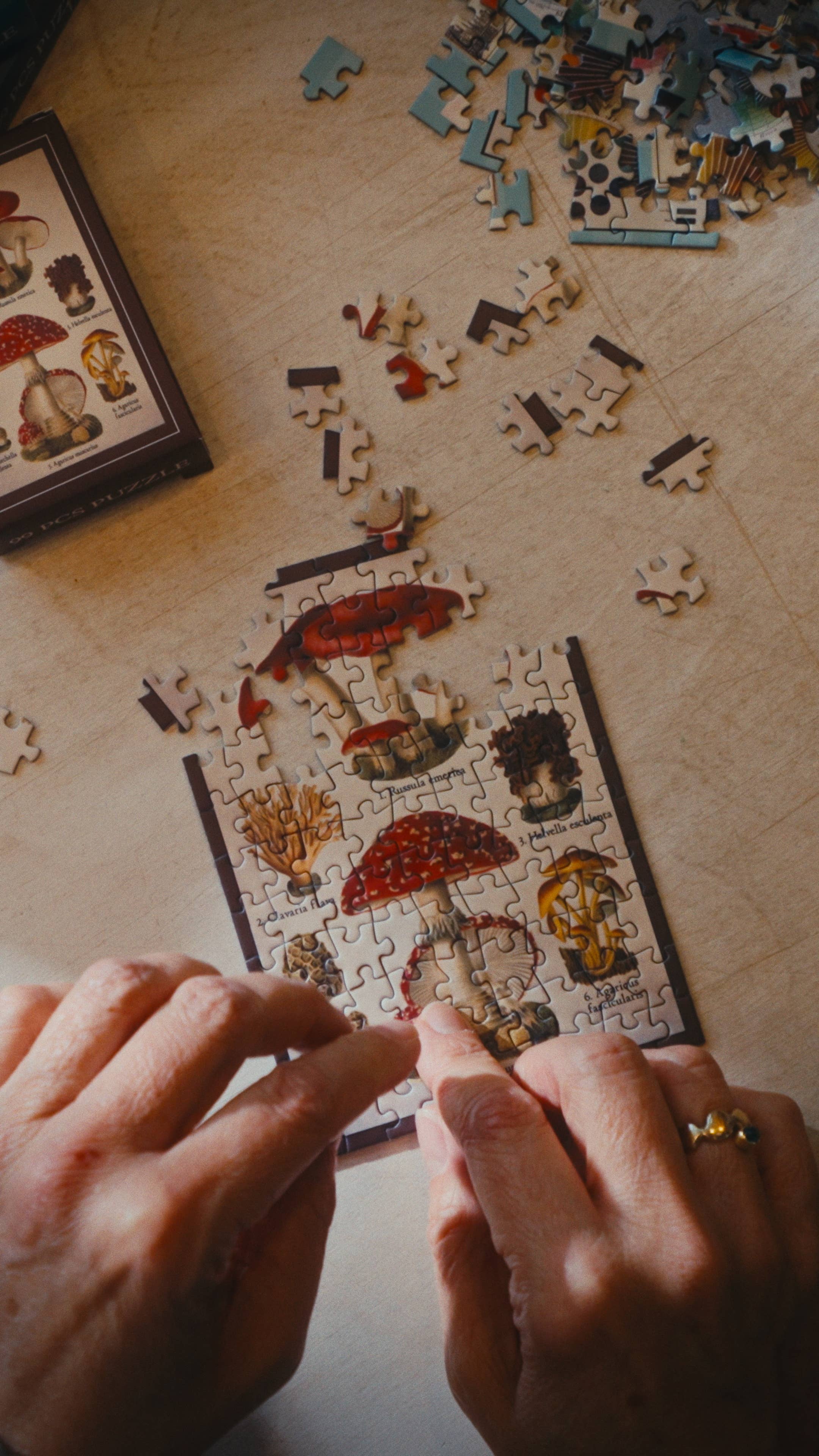 Penny Puzzle - Wholesale Puzzel - Volwassene - SCHIMMELSTUDIES 99 stuks vintage minipuzzel1