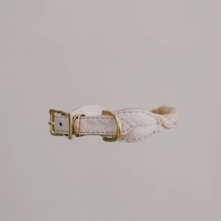 Hunting Pony – Großhandel Haustierhalsband – Hund – Hundehalsband Country Pony in Beige1