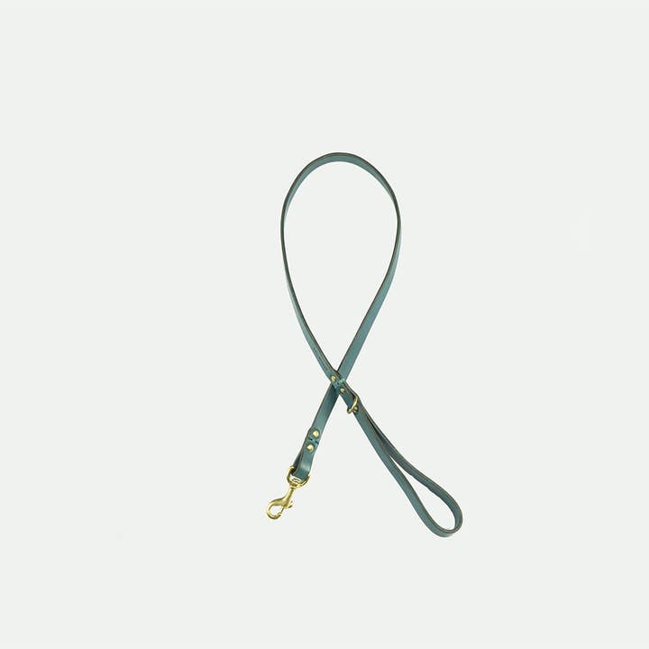 Beaton Flat Lead - Teal, Medium for wholesale by Clementine est dogs