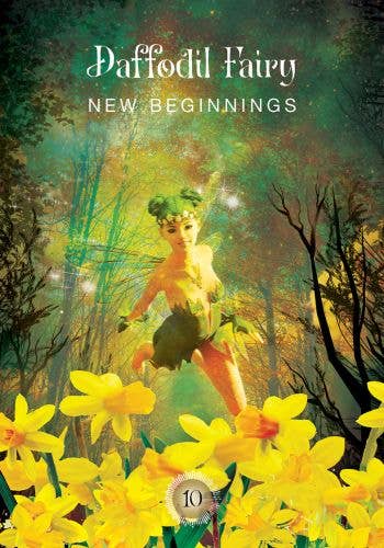 Cardshouse - Wholesale Tarot Cards - Sacred Forest Oracle Cards Hay House6