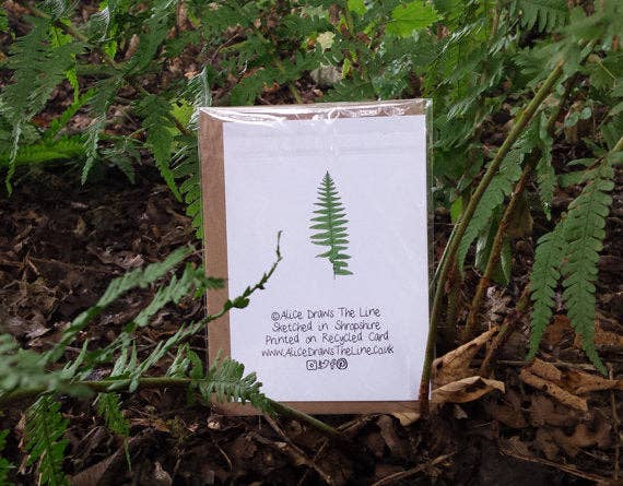 Alice Draws The Line – wholesale Everyday greeting card – Ferns and Bracken Greeting Card1