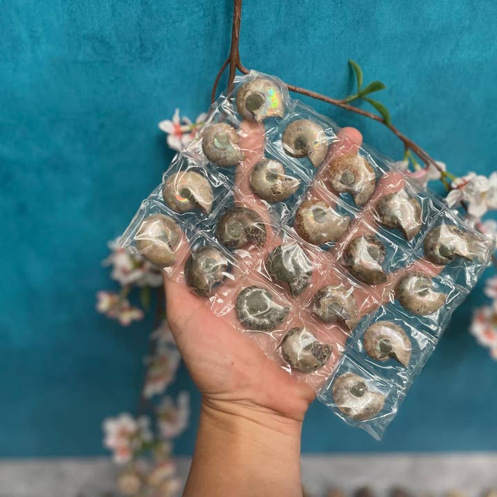 Mandala Gems – Engroshandel Duftolie – CREATRIX Naturlig Blomsterparfumeolie for Guddommelig Feminin Energi med Jasmin6