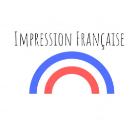 Les Vilaines Filles - Wholesale Screen Printed T-Shirt - Women's - Round neck t-shirt Ballbreaker organic5