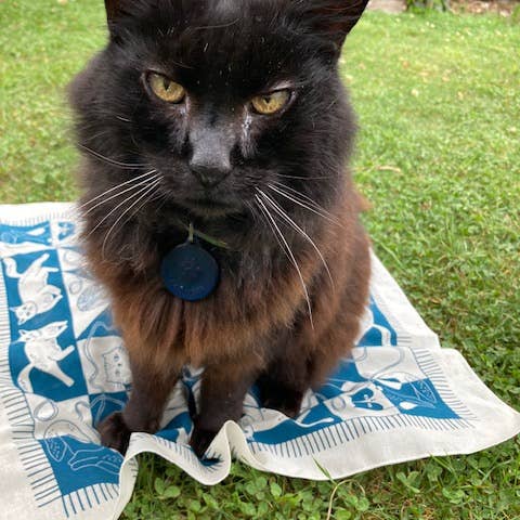 Pen+Pine - Wholesale Bandana - Unisex - Cozy Cats Bandana