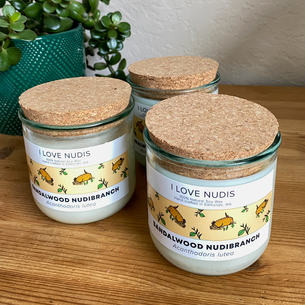 I LOVE NUDIS - Wholesale Jar/Filled Candle - Sandalwood Nudibranch Candle in Recycled Glass3
