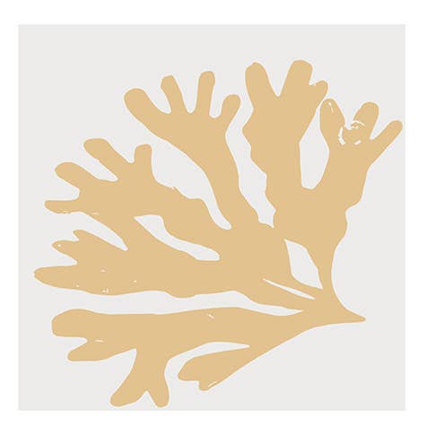 Corail et algues #2 pour la vente par RGB Fineart