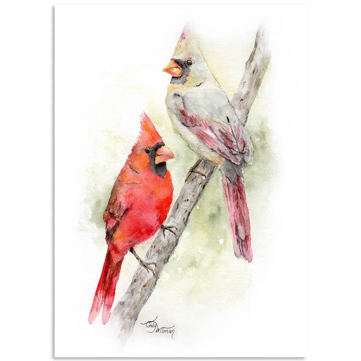 Northern Cardinals for wholesale by Moonlight & Grace