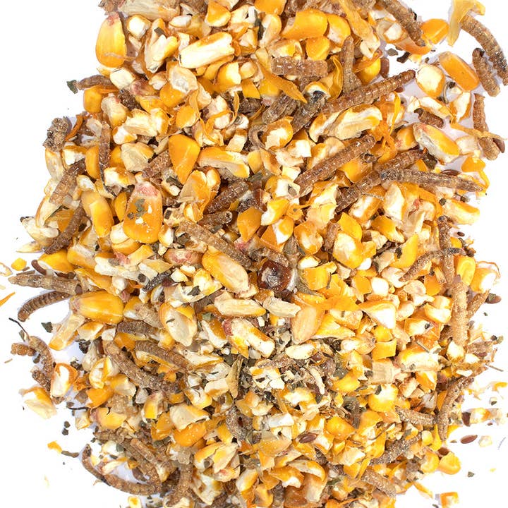 Dahlia Pets - Wholesale Pet Treats - Dog - Poultry Queen Mealworm, Non-GMO Corn, Non-GMO Flax, & Herb Treat For Pet Chickens1