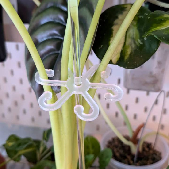 PlantBay - Wholesale Garden Tool - Acrylic Hook & Stem Support Star