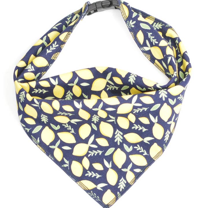 Lemons Scarf for wholesale by Dog Collar World