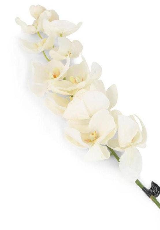 Closer2Nature – wholesale Artificial flowers – Artificial 109cm Single Stem White Phalaenopsis Orchid1
