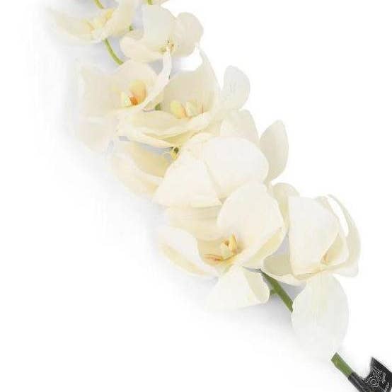Closer2Nature – wholesale Artificial flowers – Artificial 109cm Single Stem White Phalaenopsis Orchid1