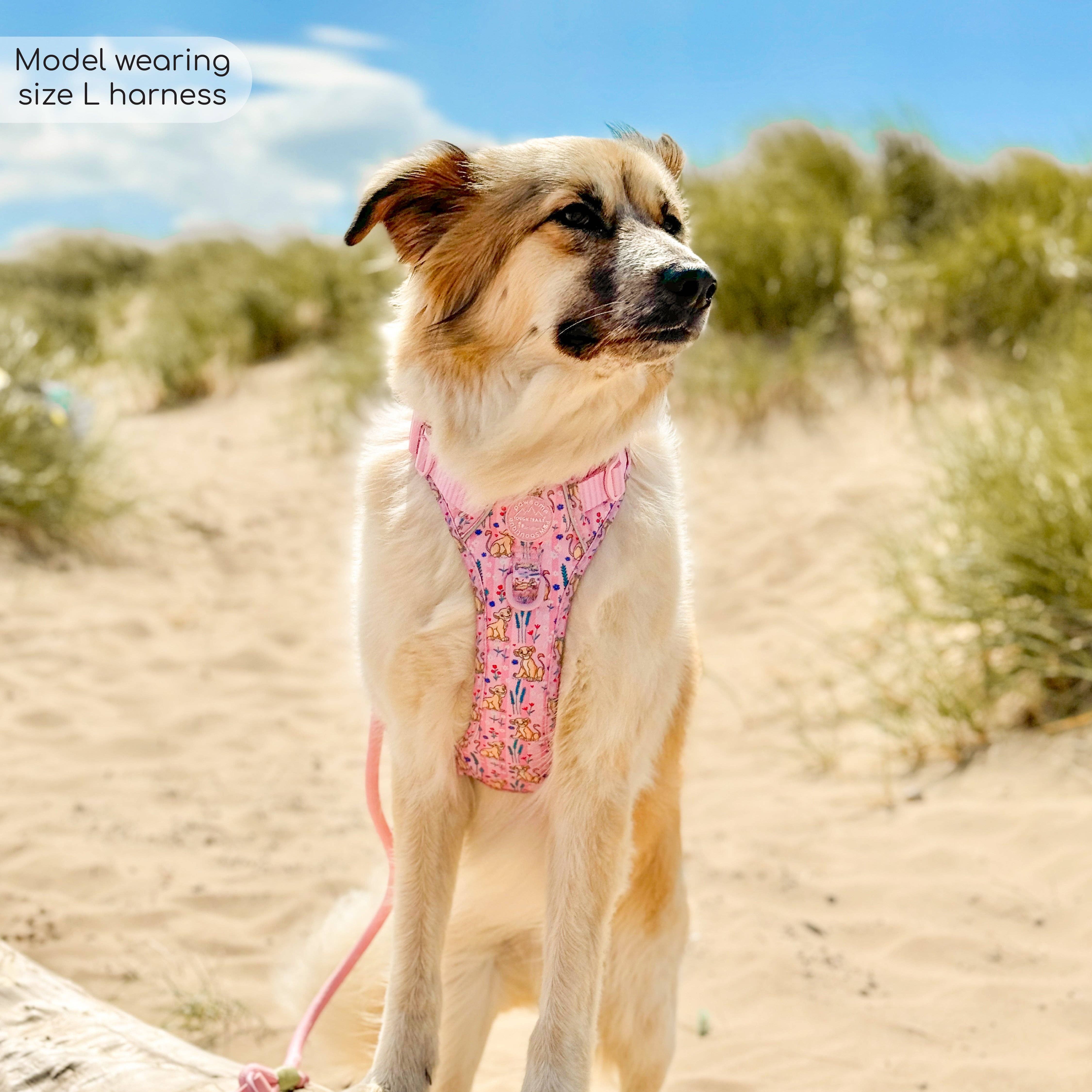 Pawsome Paws - Vendita all'ingrosso Pettorina - Cani - Imbracatura Disney© Tough Trails™ - Nala16