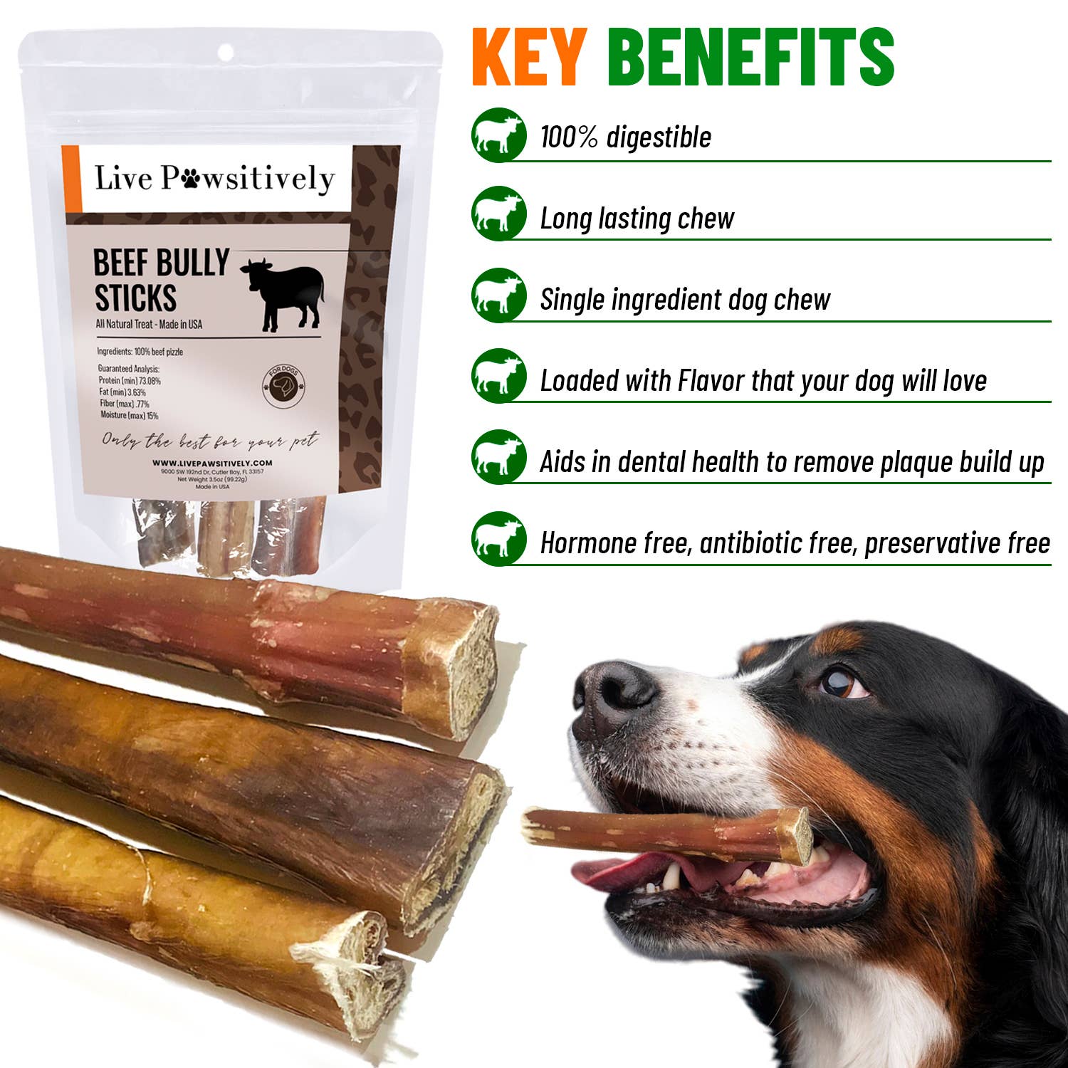 Live Pawsitive - Wholesale Pet Treats - Dog - 6 Inch Jumbo Bully Sticks 3 Pack1