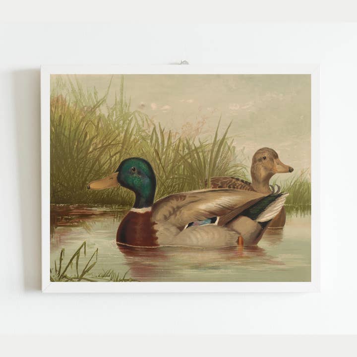 Sea to Skye - Wholesale Art Print - Ducks on the Pond Antique Art Print4
