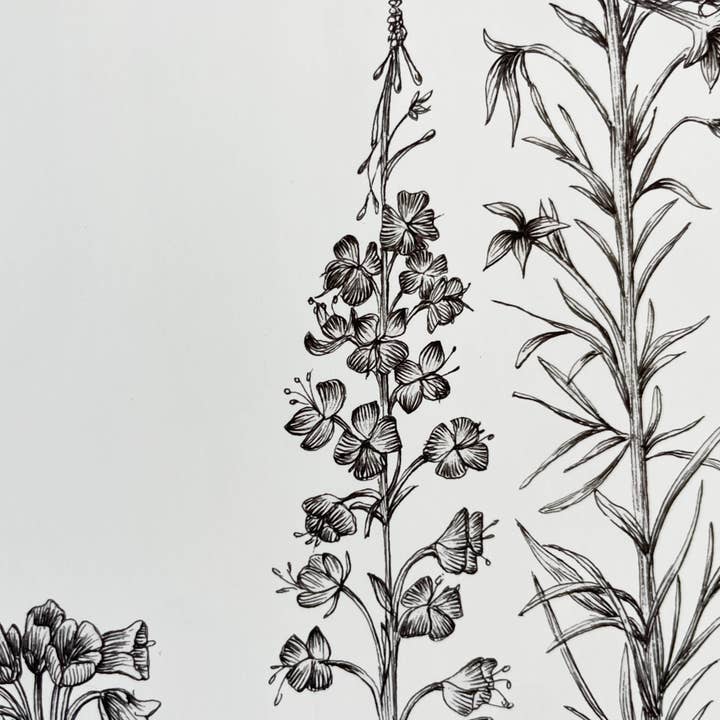 Vanee.ink - Wholesale Art Print - Alpine Wildflowers Print8