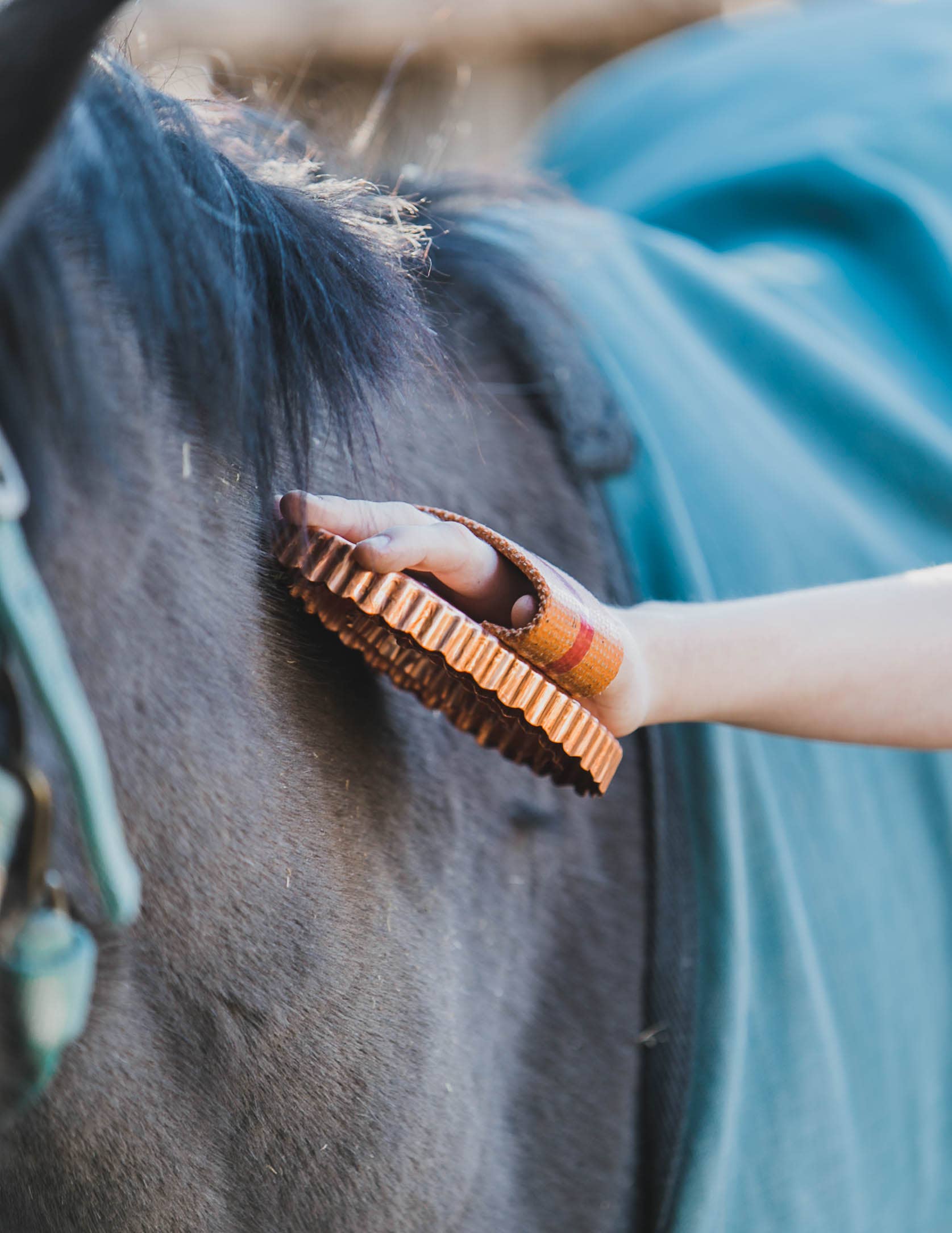 Kawell USA - Wholesale Horse Conditioner/Grooming Aid - Kawell Copper Curry Horse Brush2