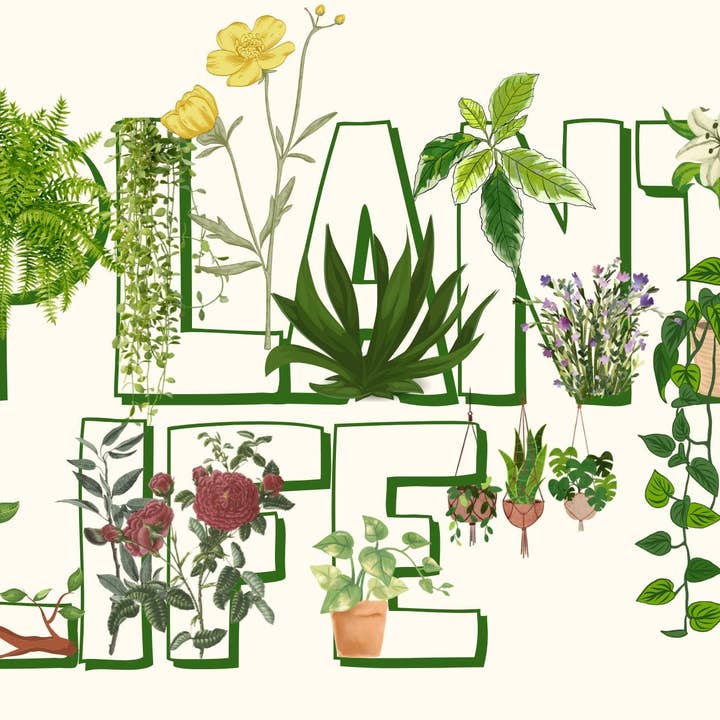 Plantera kärlek vykort, Jordens dag, Rädda planeten #2 för wholesale av Piles of Postcards