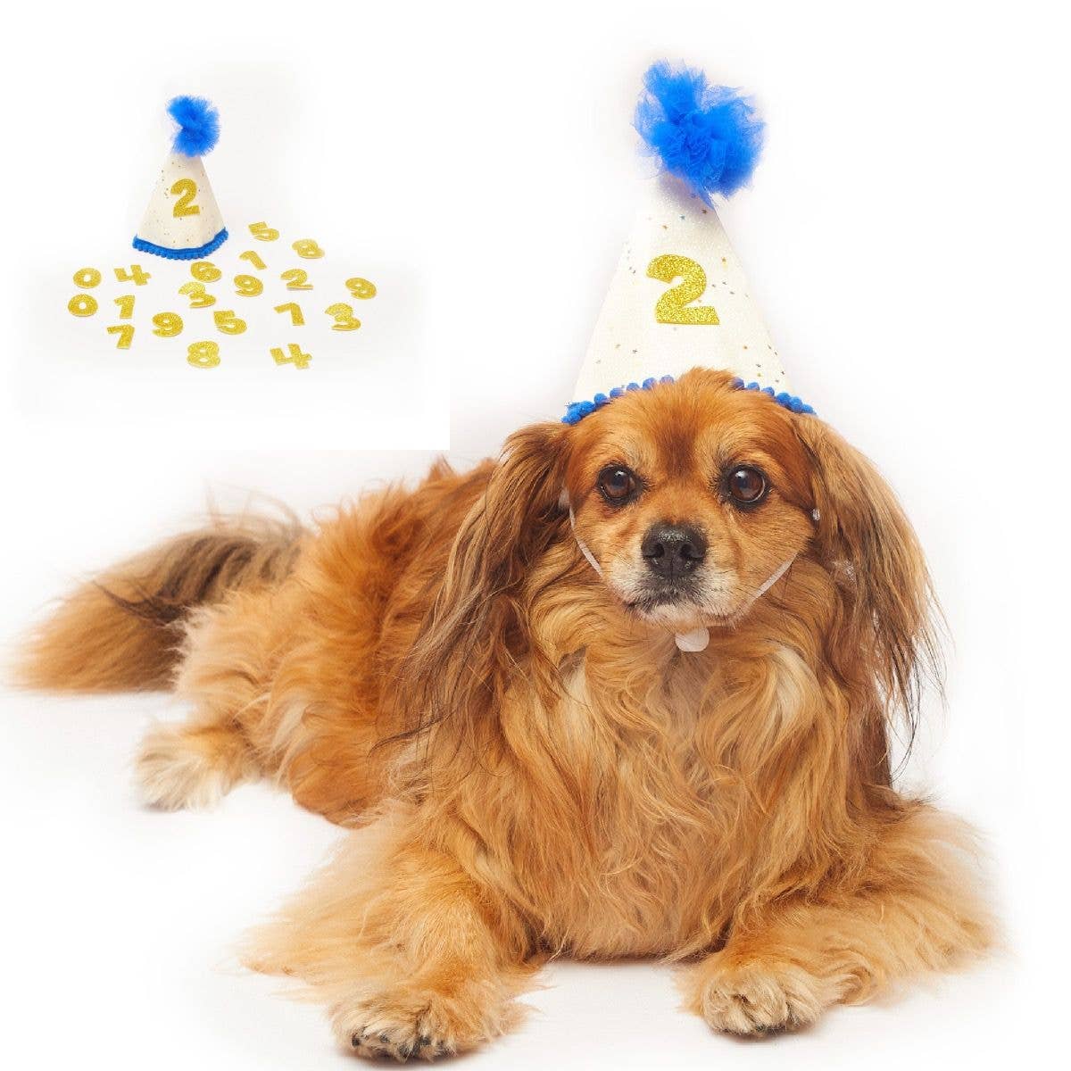 PetLondon – wholesale Pet hat – Dog – Dog Party Hat with sticky numbers-Save 30% set of 10 hats0
