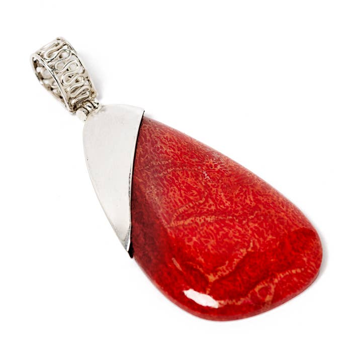 DJ4488CR för wholesale av El Expreso de Oriente