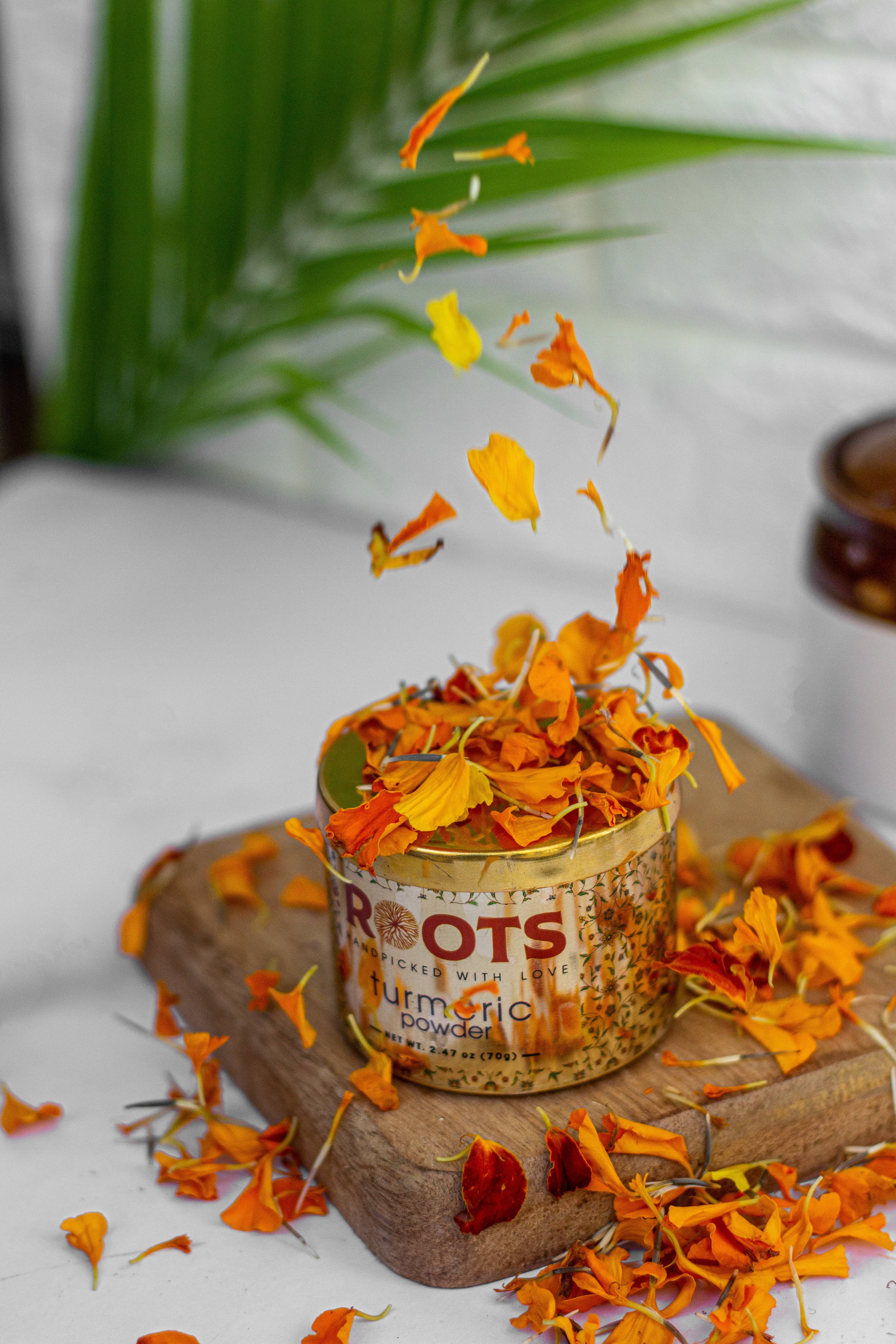 Roots Spice - Wholesale Dried Spice - Turmeric Powder (Case of 12)1