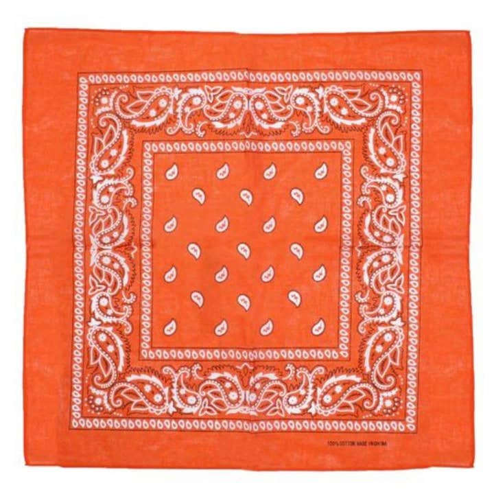 Topkids Accessories - Wholesale Bandana - Unisex - Paisley Bandanas Hair Bands Headbands Women Men Dogs Head Bands Festival Bike Accessories Face Masks Holiday Essentials Head Scarf14