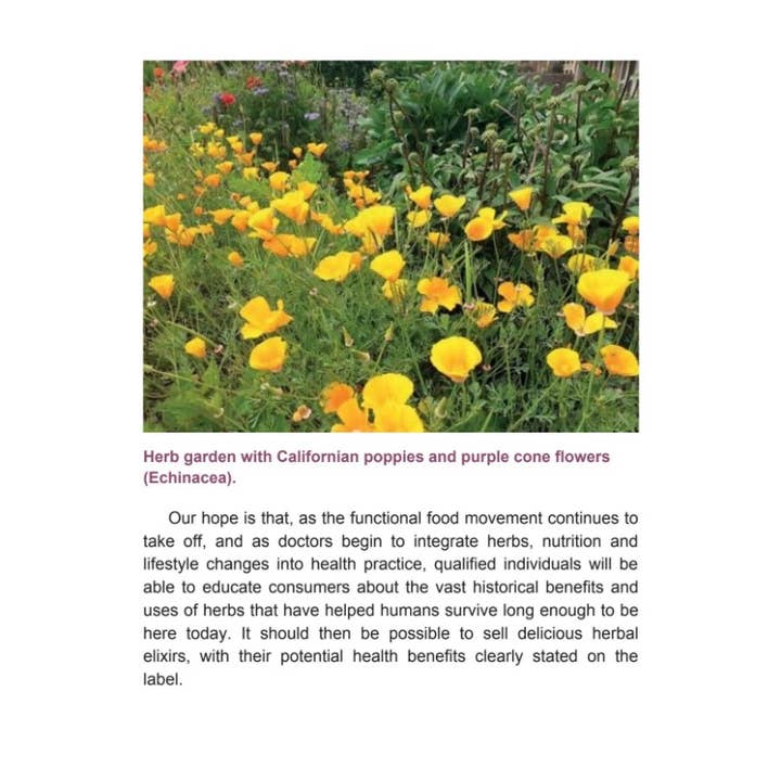 Microcosm Publishing & Distribution - Wholesale Book - Adult - Herbal Elixirs: A Guide to Making Your Own Medicinal Drinks
