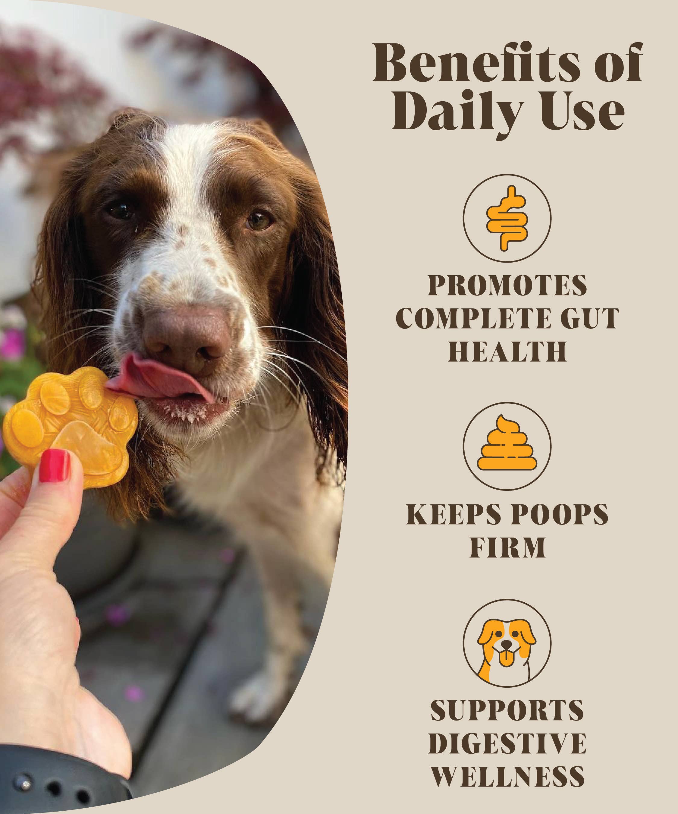 Hackney Dog House – wholesale Pet supplement – Dog – Pre & Probiotics For Dogs | Real Pumpkin Powder + Probiotic3