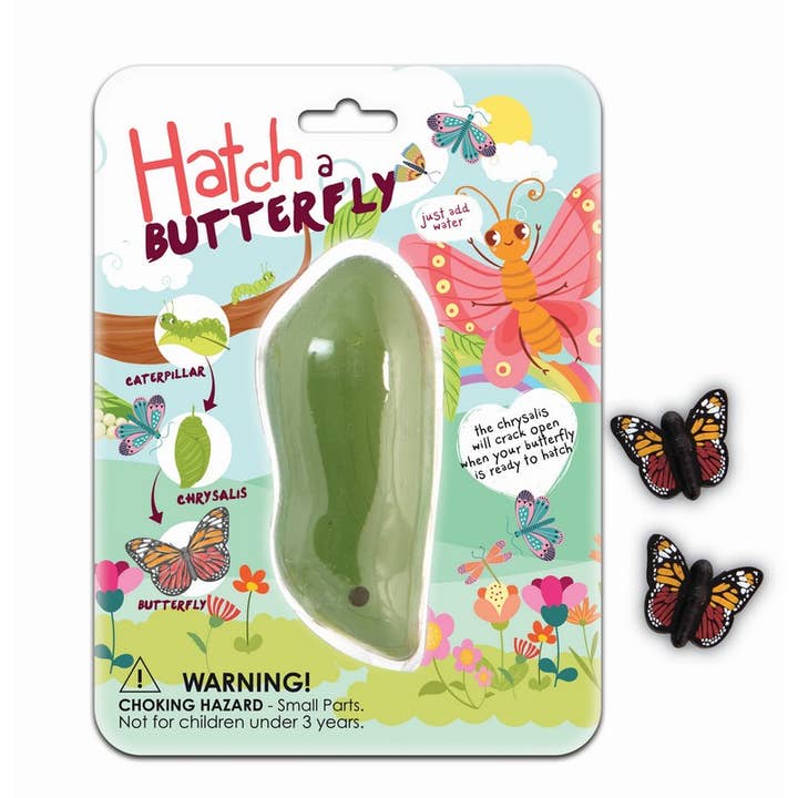 Boxer Gifts - Wholesale Classic Toy - Kids - Hatch A Butterfly - Stocking Stuffer Toy for Christmas2