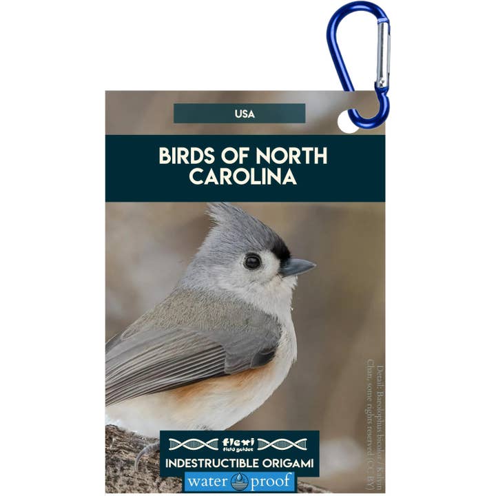 Fugle fra North Carolina-Uforgængelig Origami for engroshandel hos Flexi Field Guides