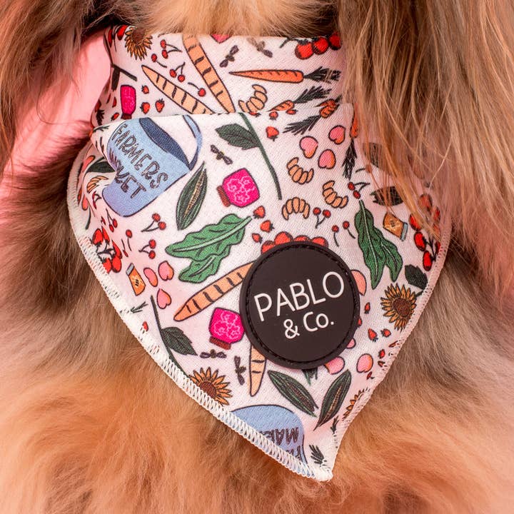 Pablo & Co. Boutique - Wholesale Pet bandana – Dog - Farmers Market: Dog Bandana1