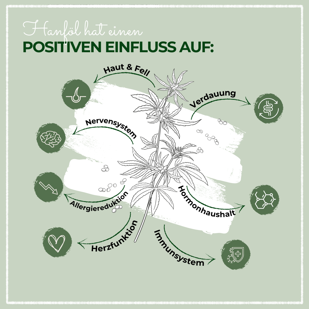 Kauartikel.com GmbH - Vente Compléments alimentaires – chat et chien - Huile de chanvre LaPura 1000 ml2