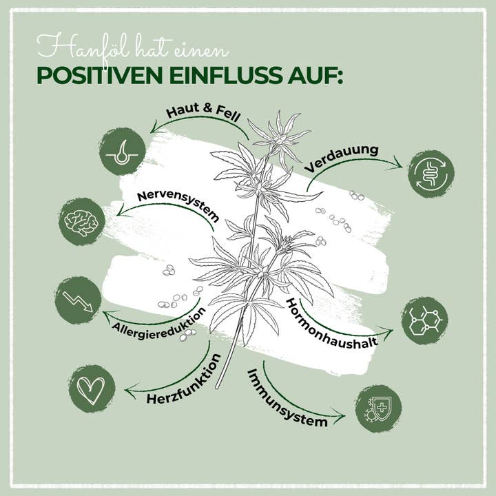 Kauartikel.com GmbH - Wholesale Pet Supplement - Cat/Dog - LaPura Hemp Oil 1000 ml2