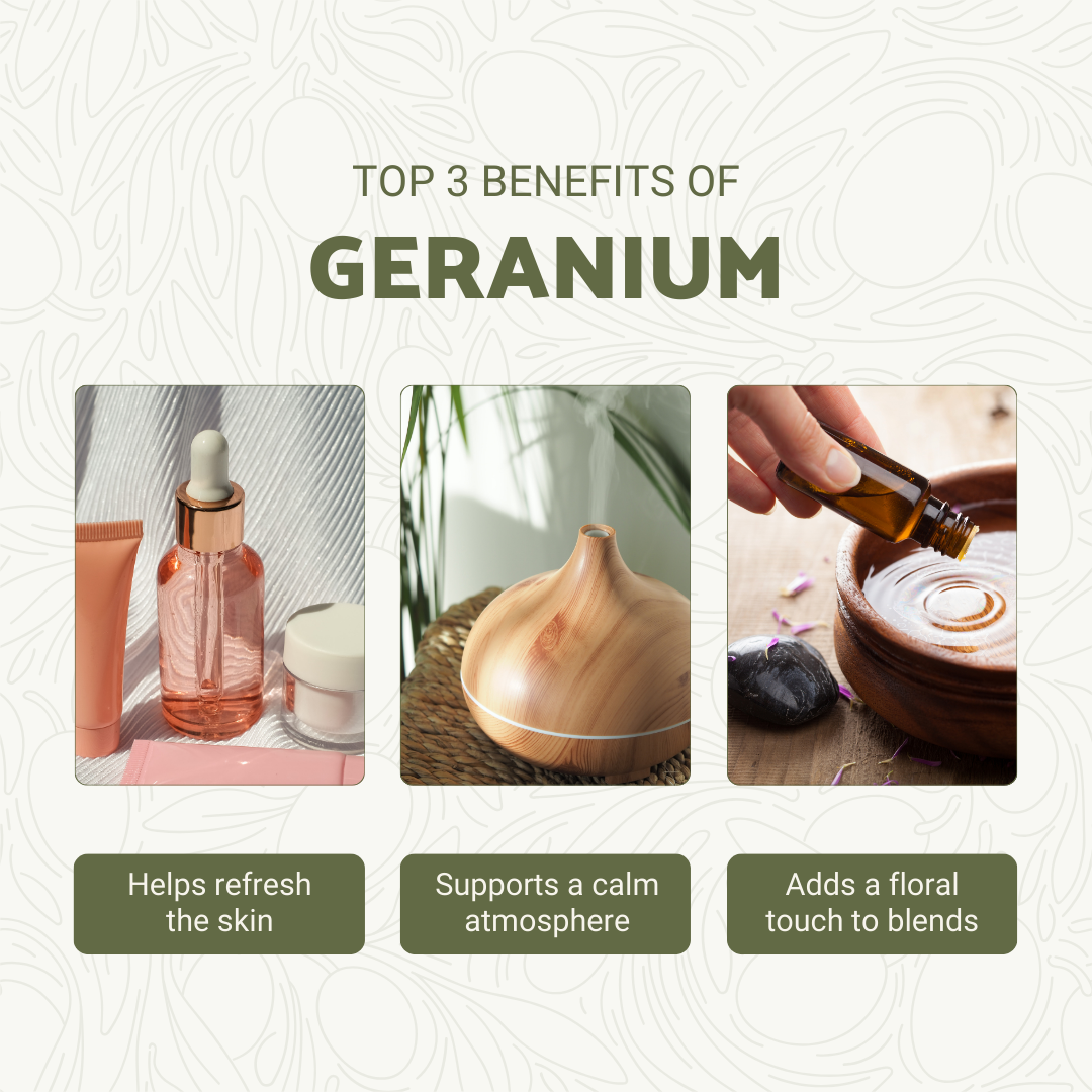 Nature Packaged - Wholesale Essential Oil - Geranium Essential Oil - 100% Pure - Farm-Direct Sourcing2