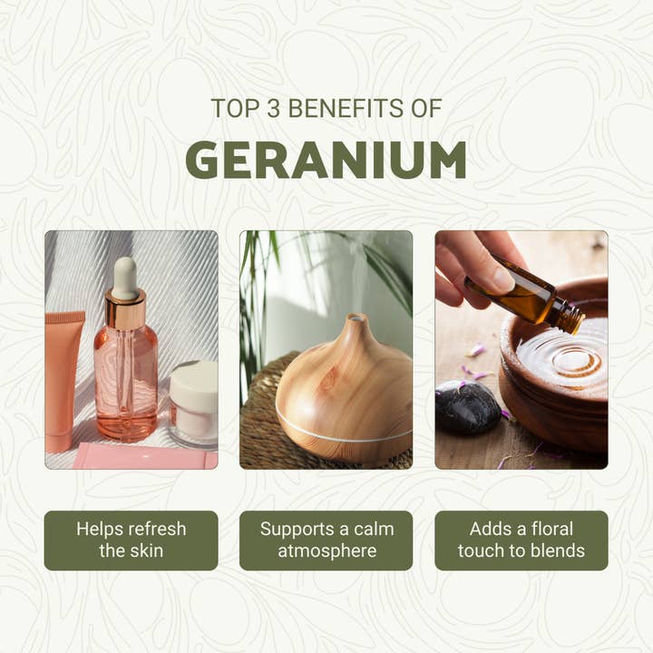 Nature Packaged - Wholesale Essential Oil - Geranium Essential Oil - 100% Pure - Farm-Direct Sourcing2