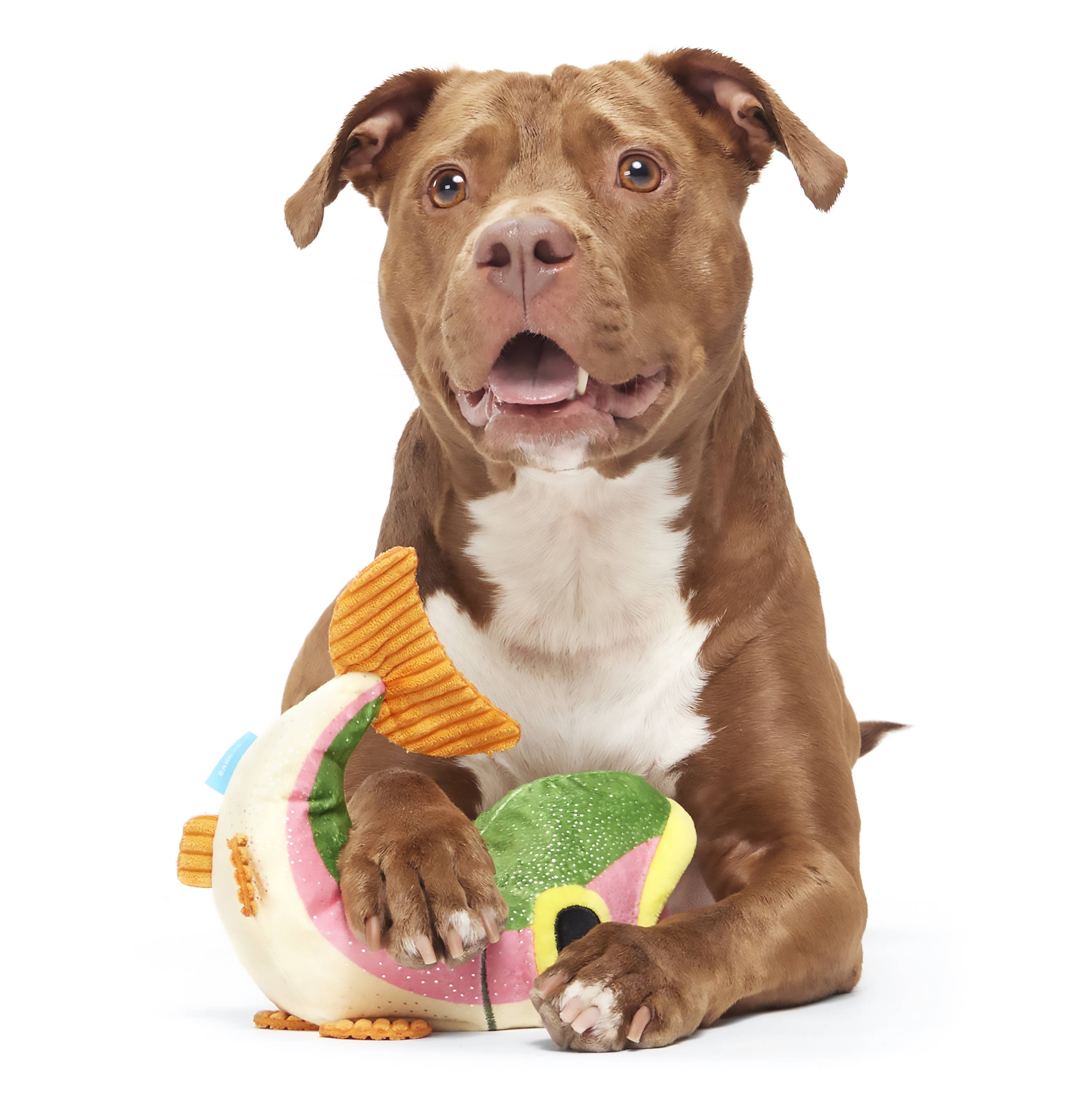 Pet Palette Distribution - Wholesale Pet Plush Toy - Dog - BARK Brooke Trout Plush Dog Toy2