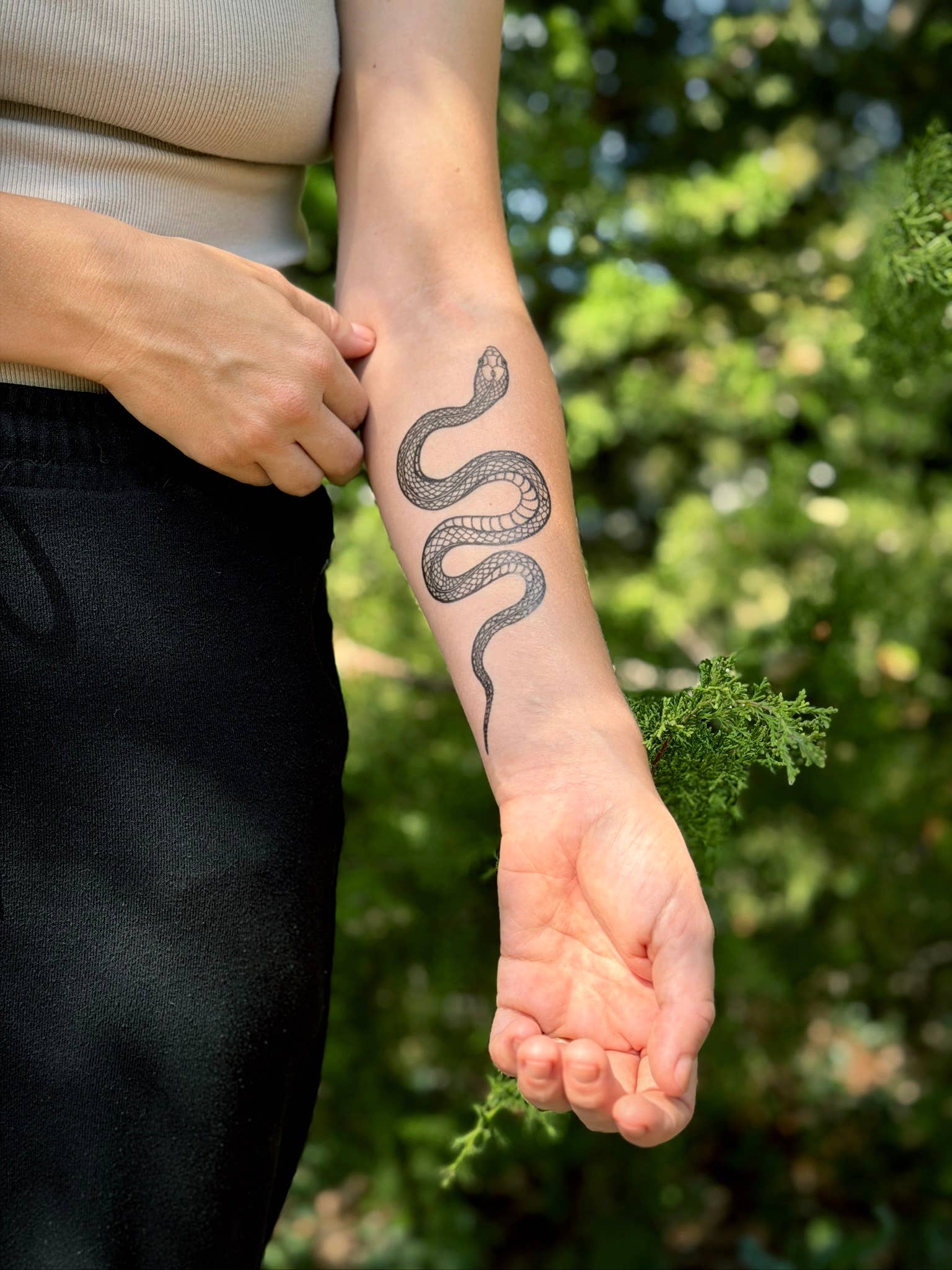 NatureTats - Wholesale Temporary Tattoo - Garden Snake Temporary Tattoo10